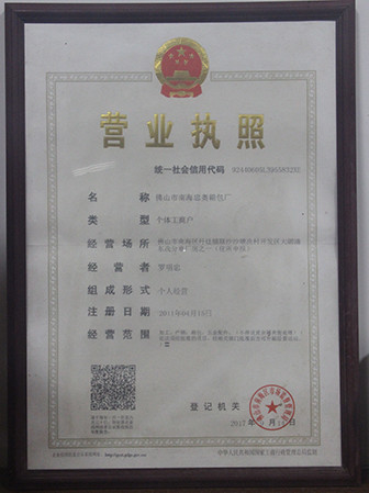 چین MSAC CO.,LTD گواهینامه ها